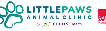 little paws veterinary clinic
