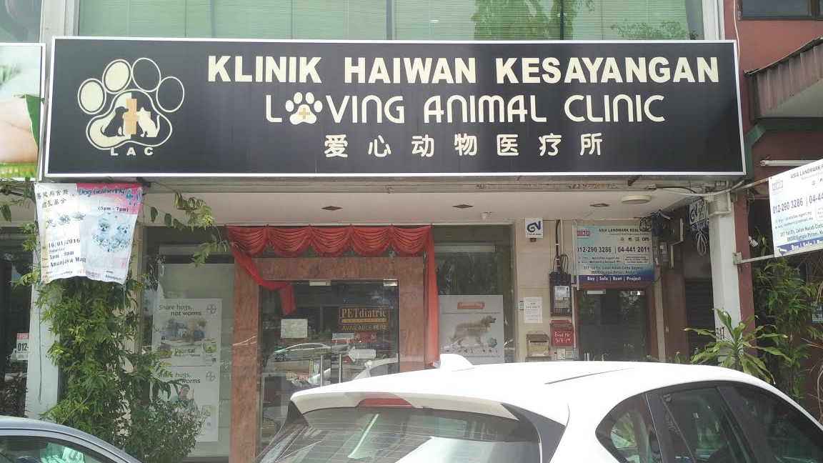 loving animal clinic klinik haiwan kesayangan