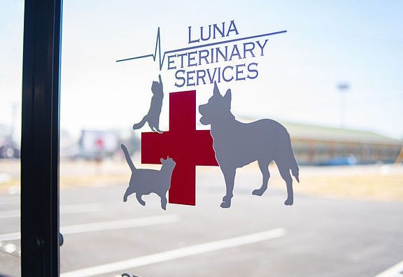 luna veterinary clinic and surgery