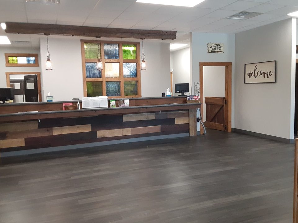 lynn veterinary clinic