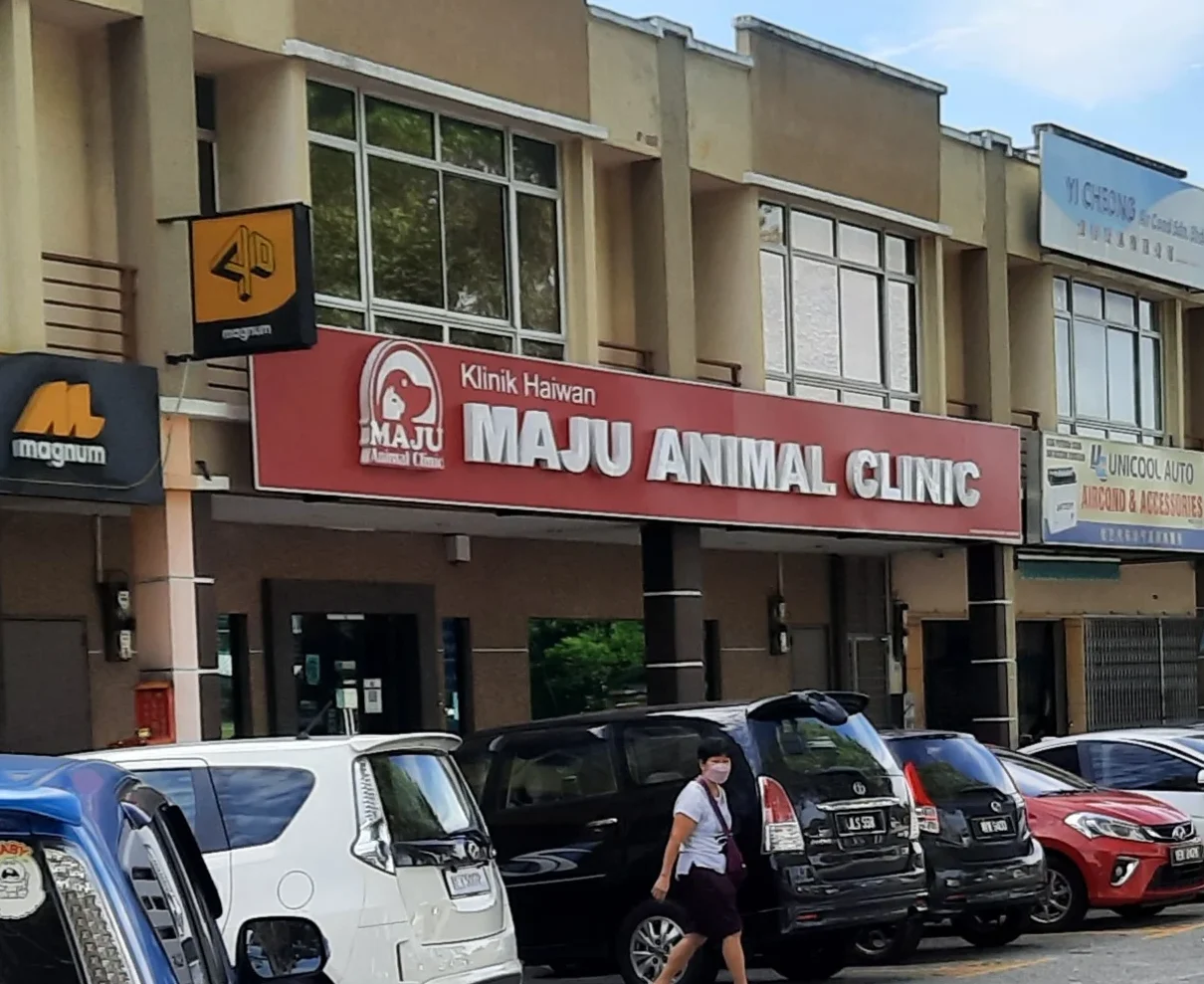 maju animal clinic