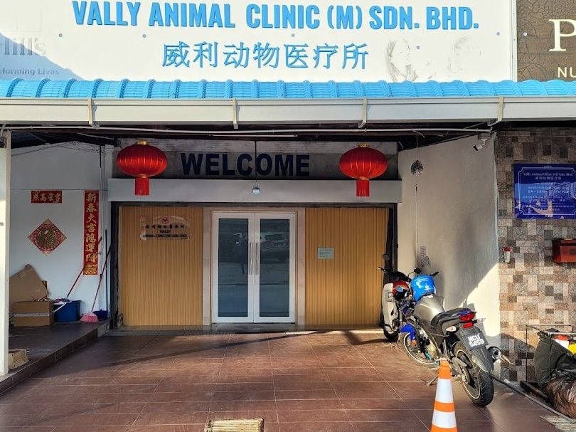 malacca animal clinic