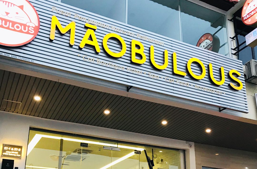 maobulous cat boutique hotel spa