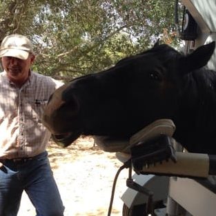 mathews veterinary services sdn bhd