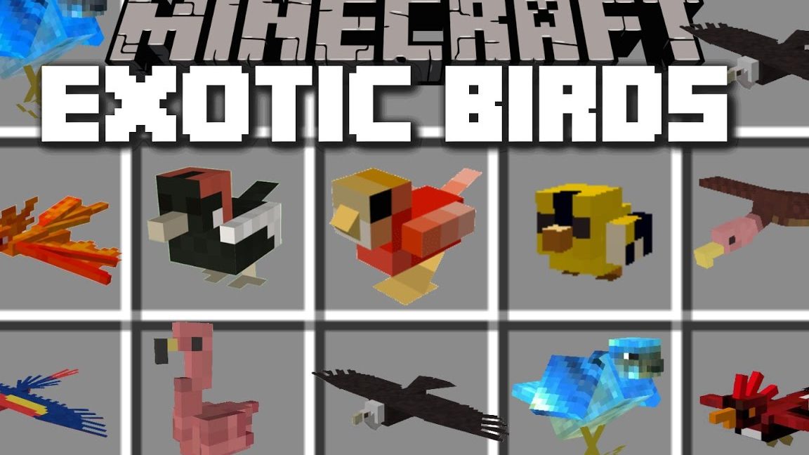 mc exotic pets project