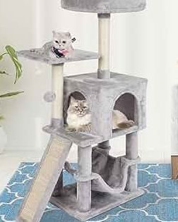 miao pet house