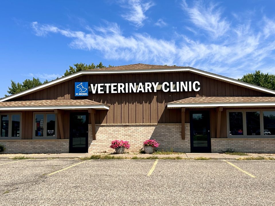 michaels veterinary clinic