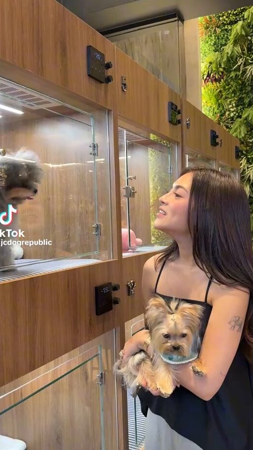 Mika Pets Spa & Hotel 1 mika pets spa hotel