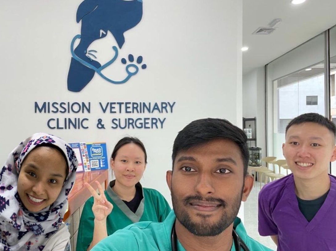 mission veterinary clinic and surgery shah alam