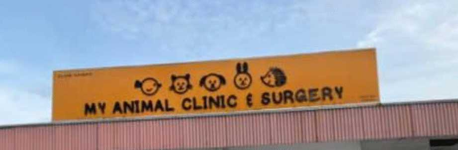 my animal clinic surgery