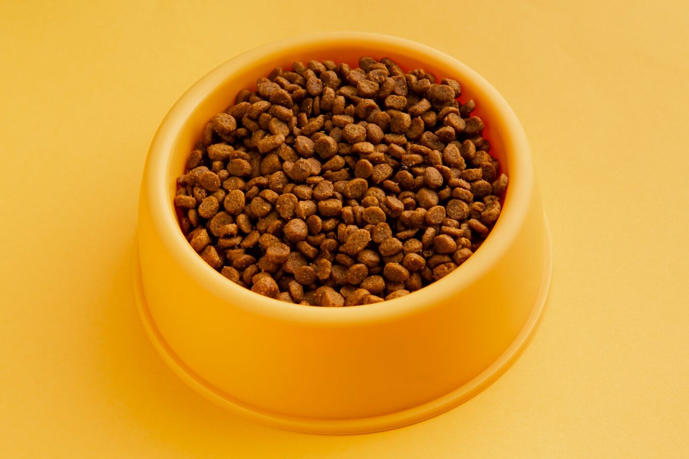 my pet products sri rampai