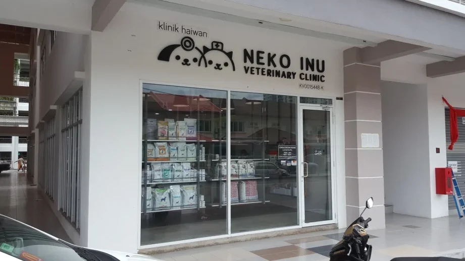 neko veterinary clinic