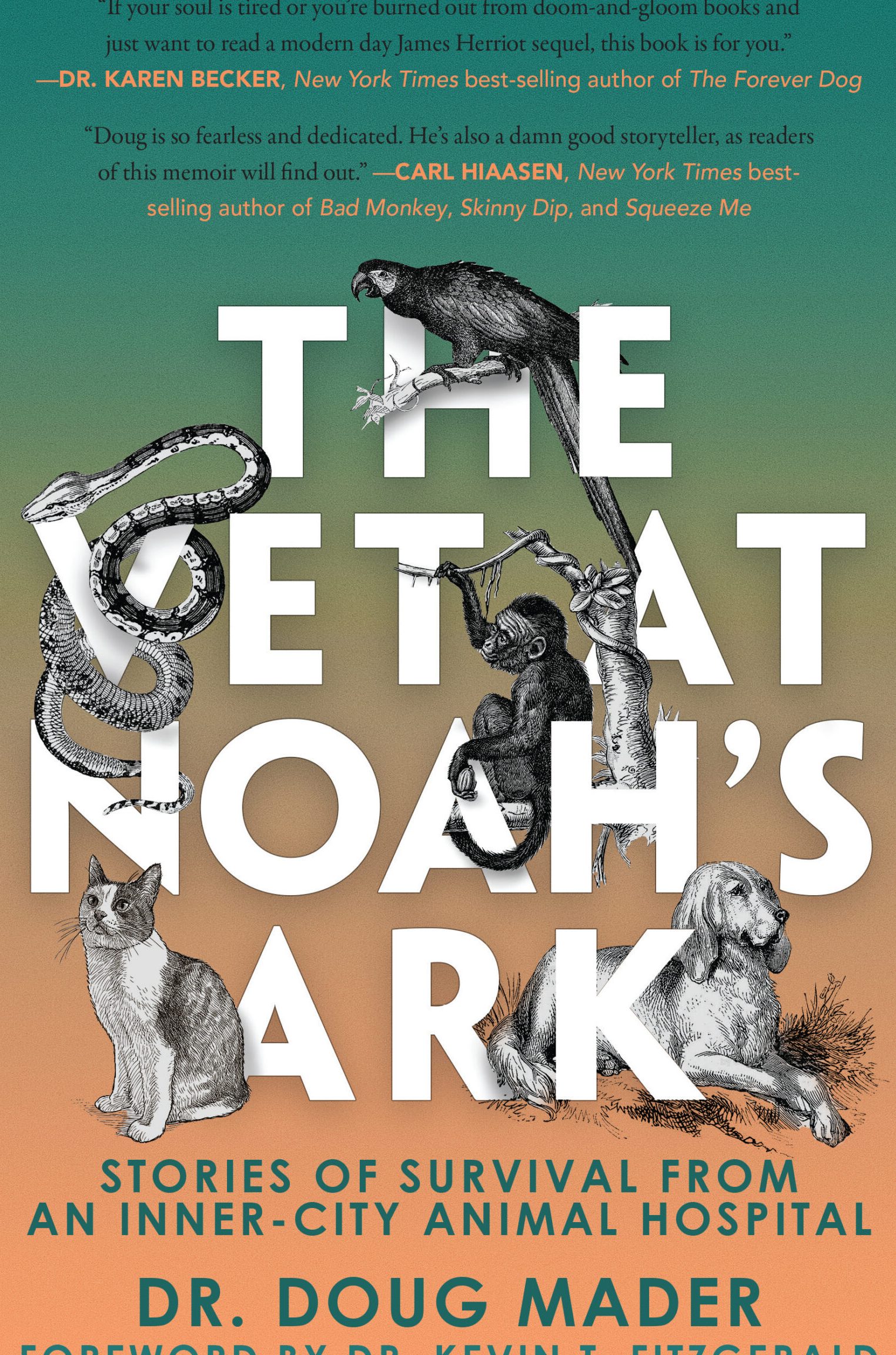 noble ark veterinary clinic