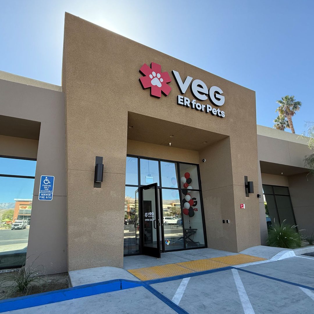 palm spring veterinary clinic