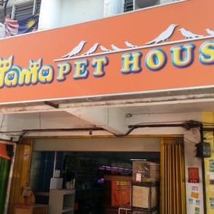 papa mama pet house