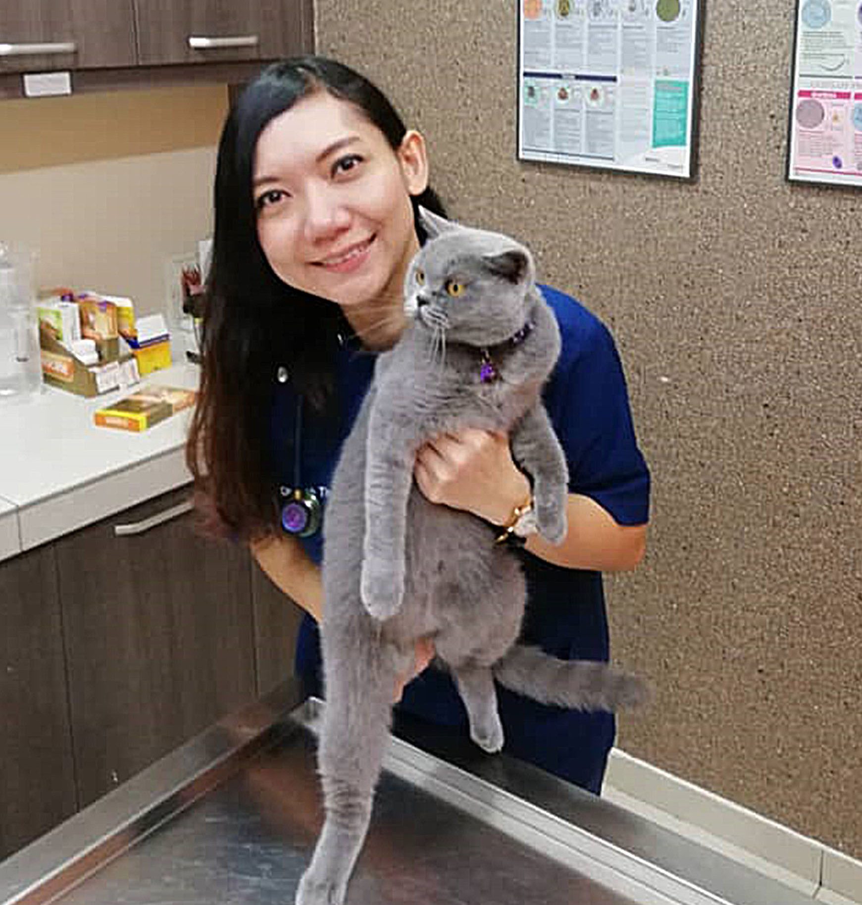 passionate animal clinic bandar seri coalfields