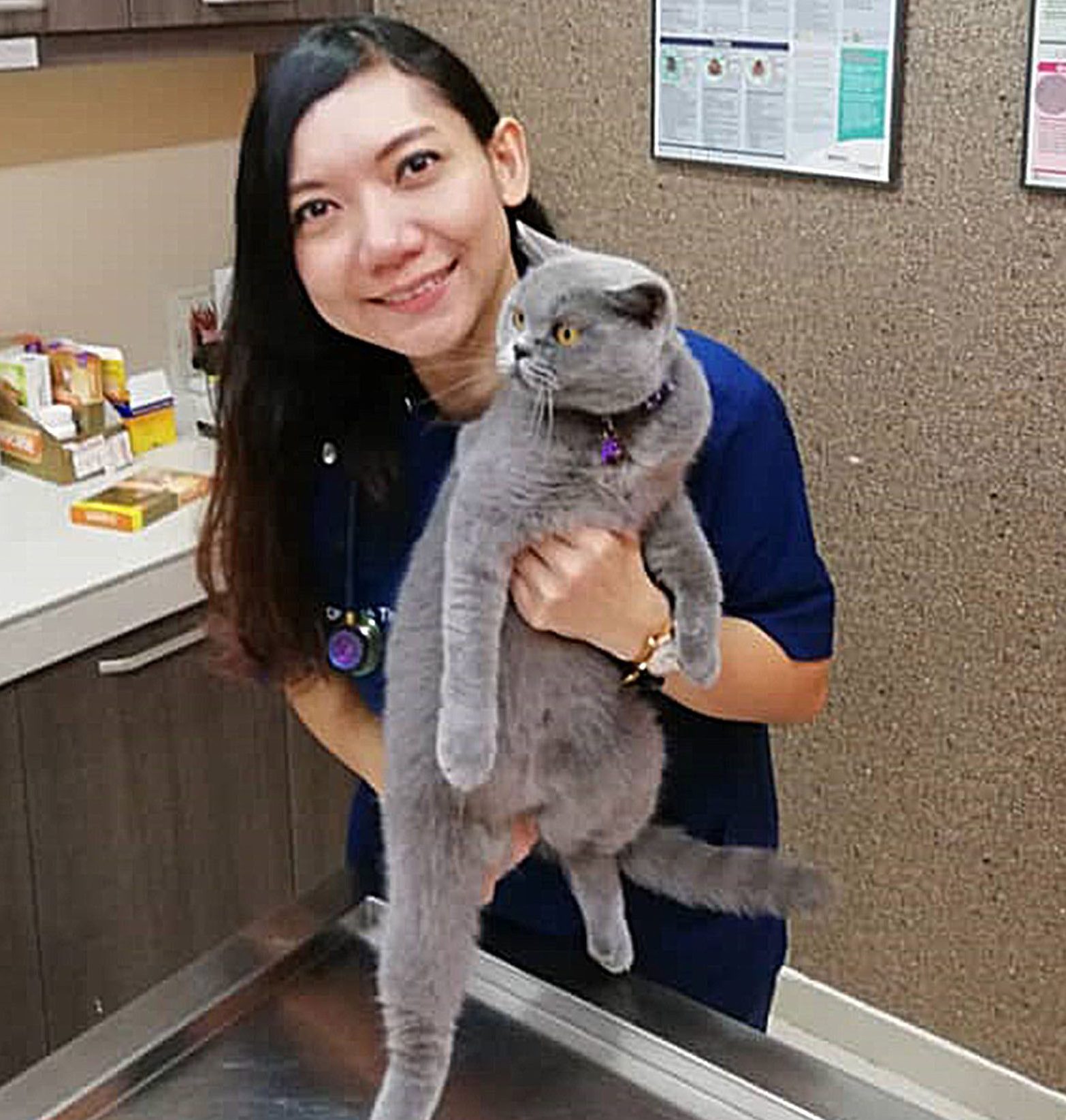 passionate animal clinic rawang