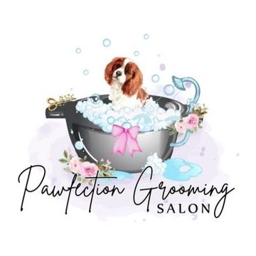 pawfection grooming salon