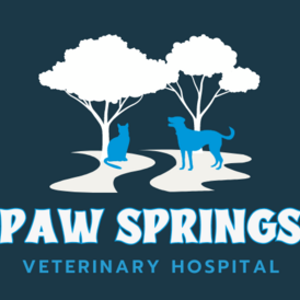 pawville veterinary clinic surgery