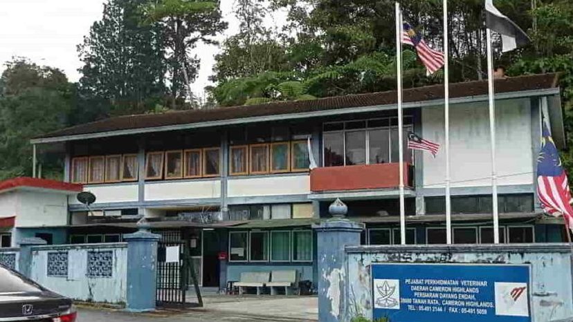 pejabat perkhidmatan veterinar daerah cameron highlands