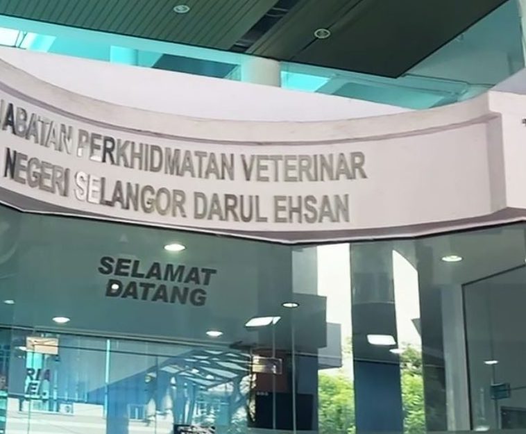 pejabat perkhidmatan veterinar daerah klang klinik veterinar