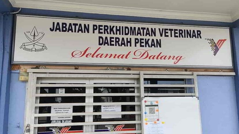 pejabat perkhidmatan veterinar daerah pekan