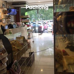 pet lovers centre bandar puteri puchong