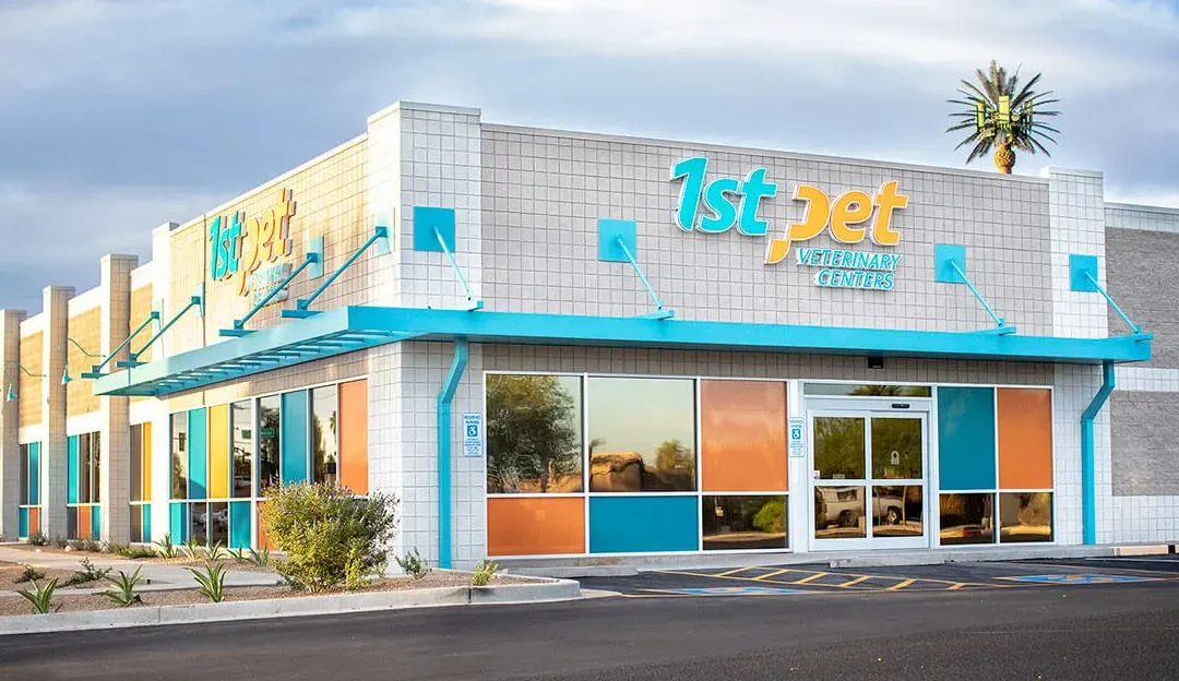 petphilia veterinary clinic