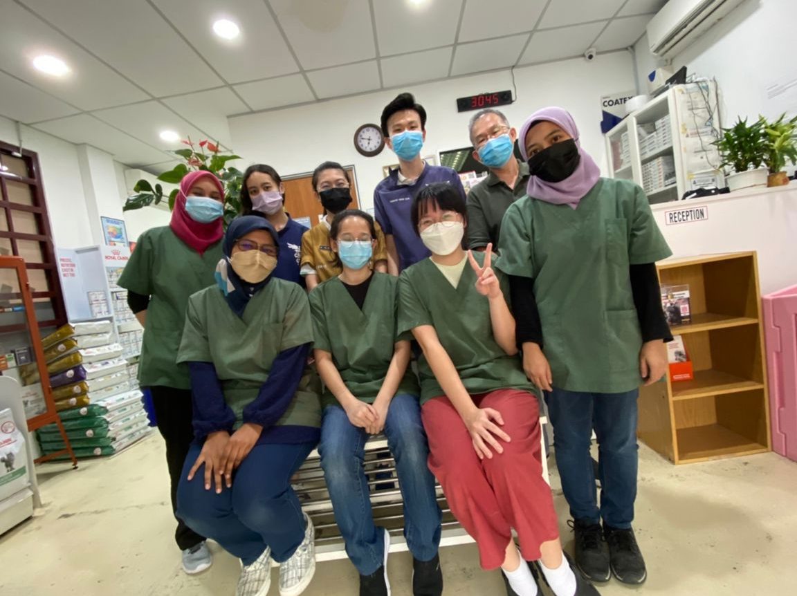 pets health veterinary clinic and surgery