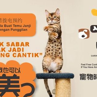 pets me services