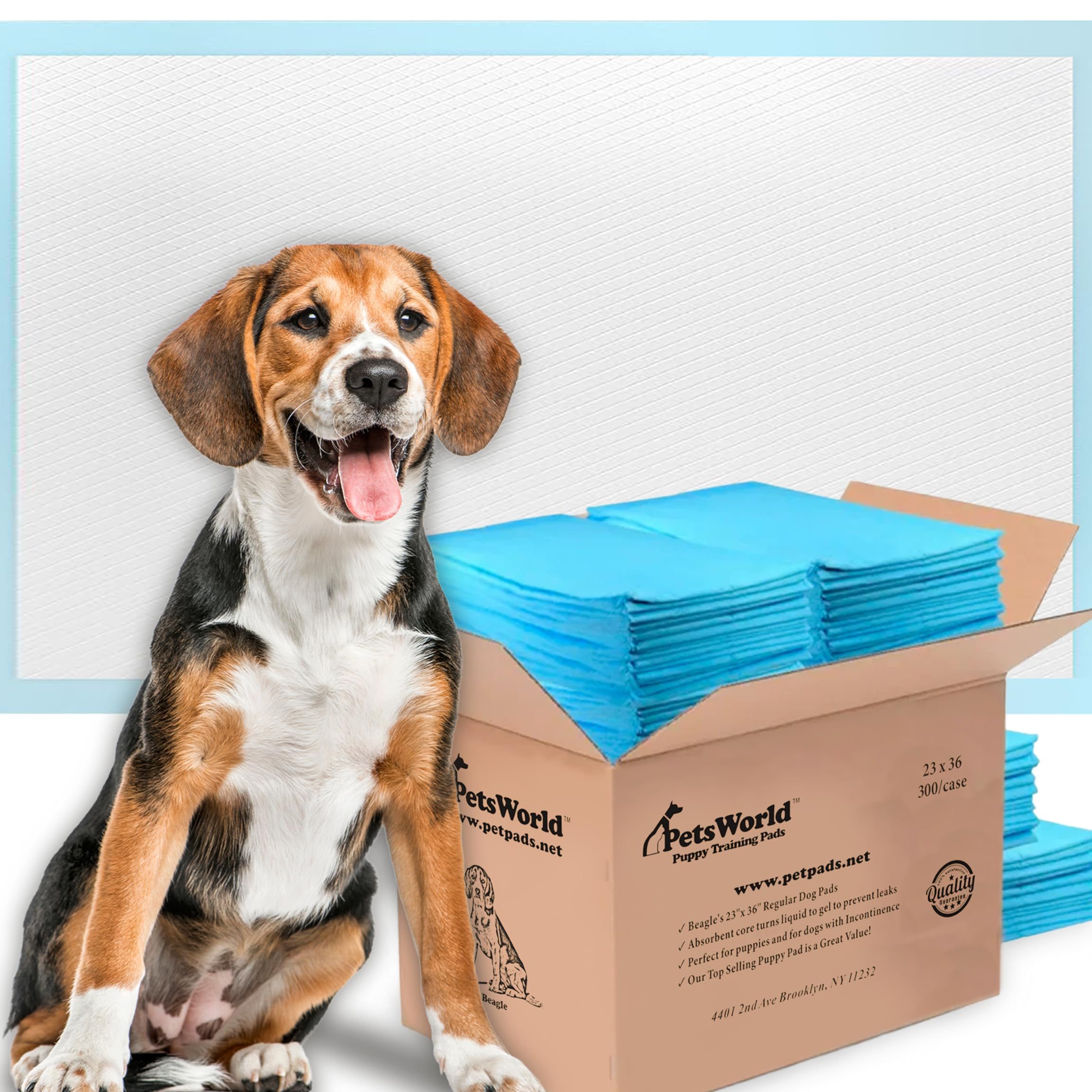 petsworld