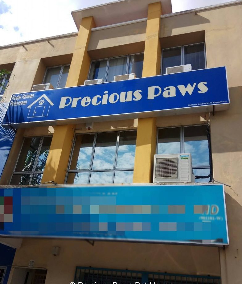precious paws pet house
