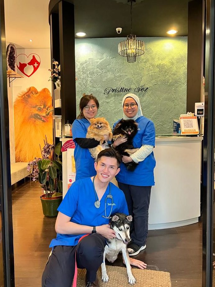 pristine veterinary centre