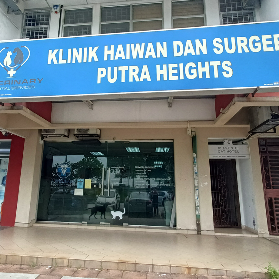 putra heights veterinary clinic and surgery