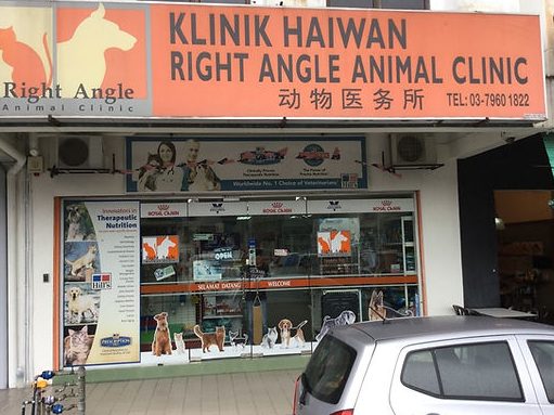 Right Angle Animal Clinic 1 right angle animal clinic