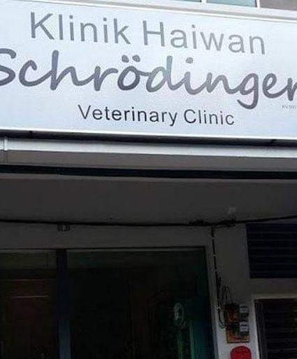 Schrodinger Veterinary Clinic 1 schrodinger veterinary clinic