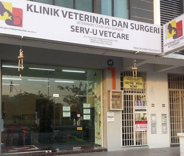 serv u veterinary clinic surgery klinik haiwan serv u