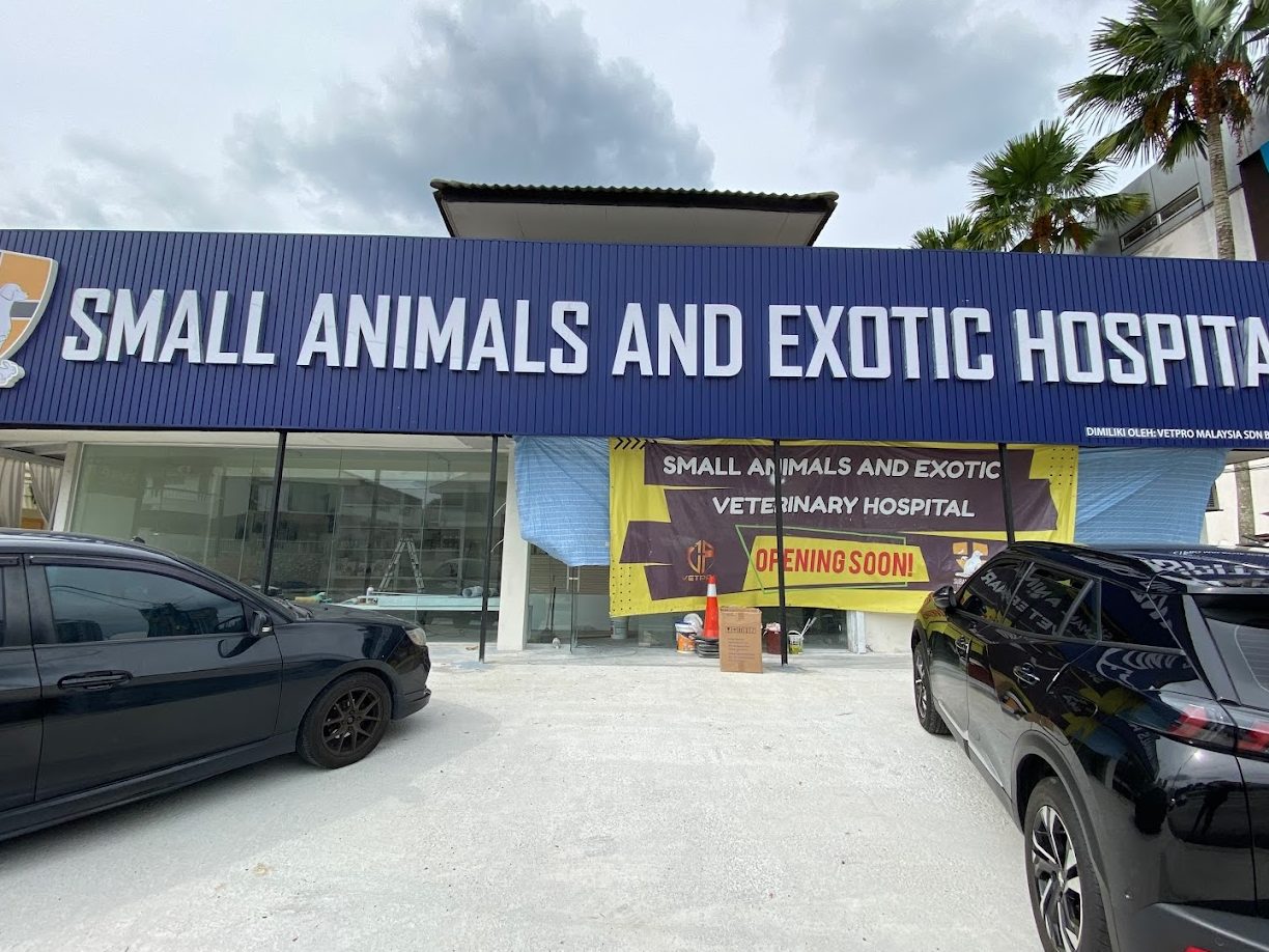 small animal and exotics hospital sane hosp