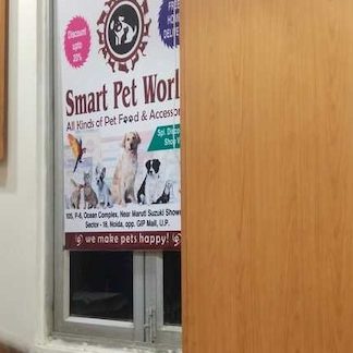 smart pet world