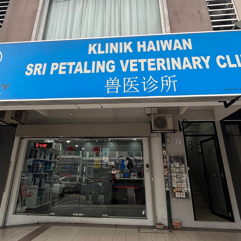 snip veterinary clinic and surgery klinik haiwan