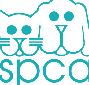 spca selangor
