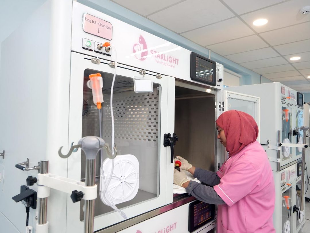 starlight veterinary medical centre