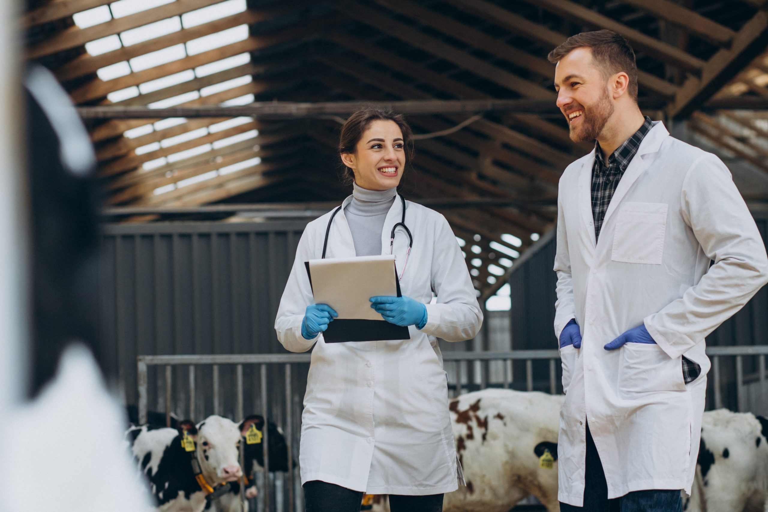 state veterinary services department scaled