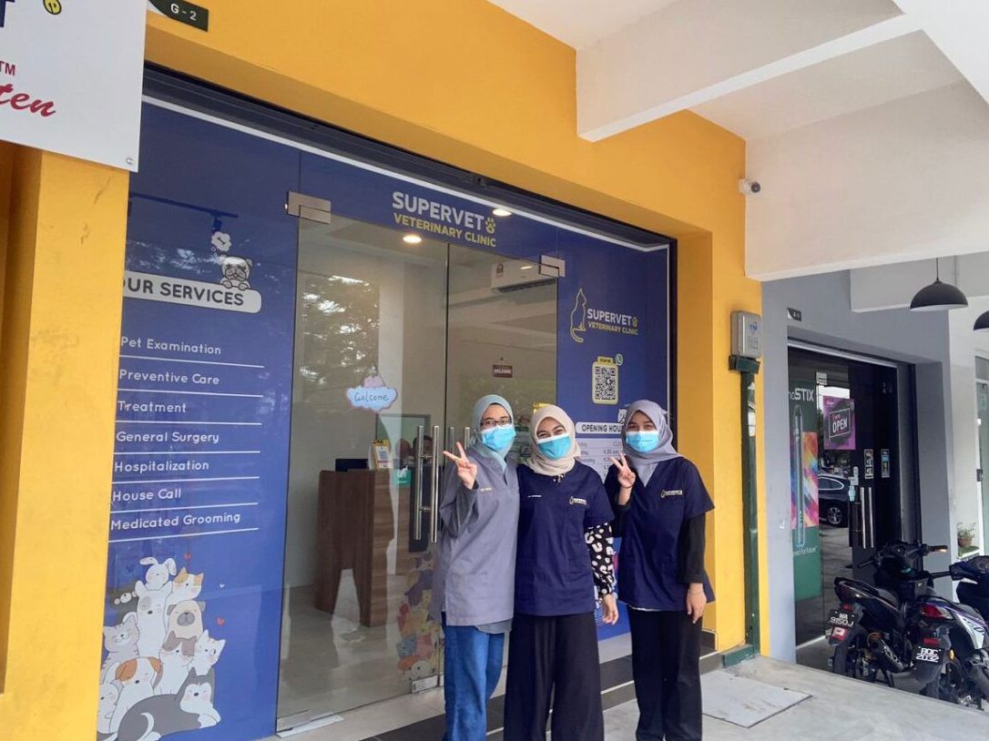 supervet veterinary clinic