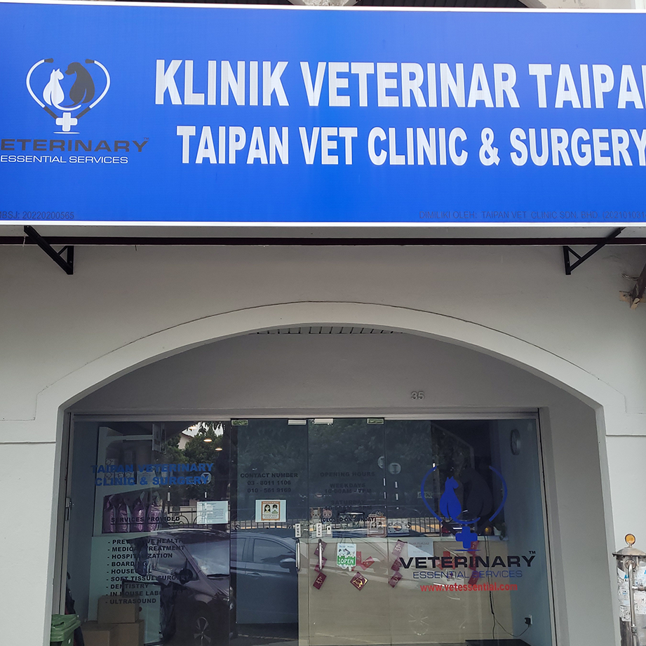taipan veterinary clinic surgery