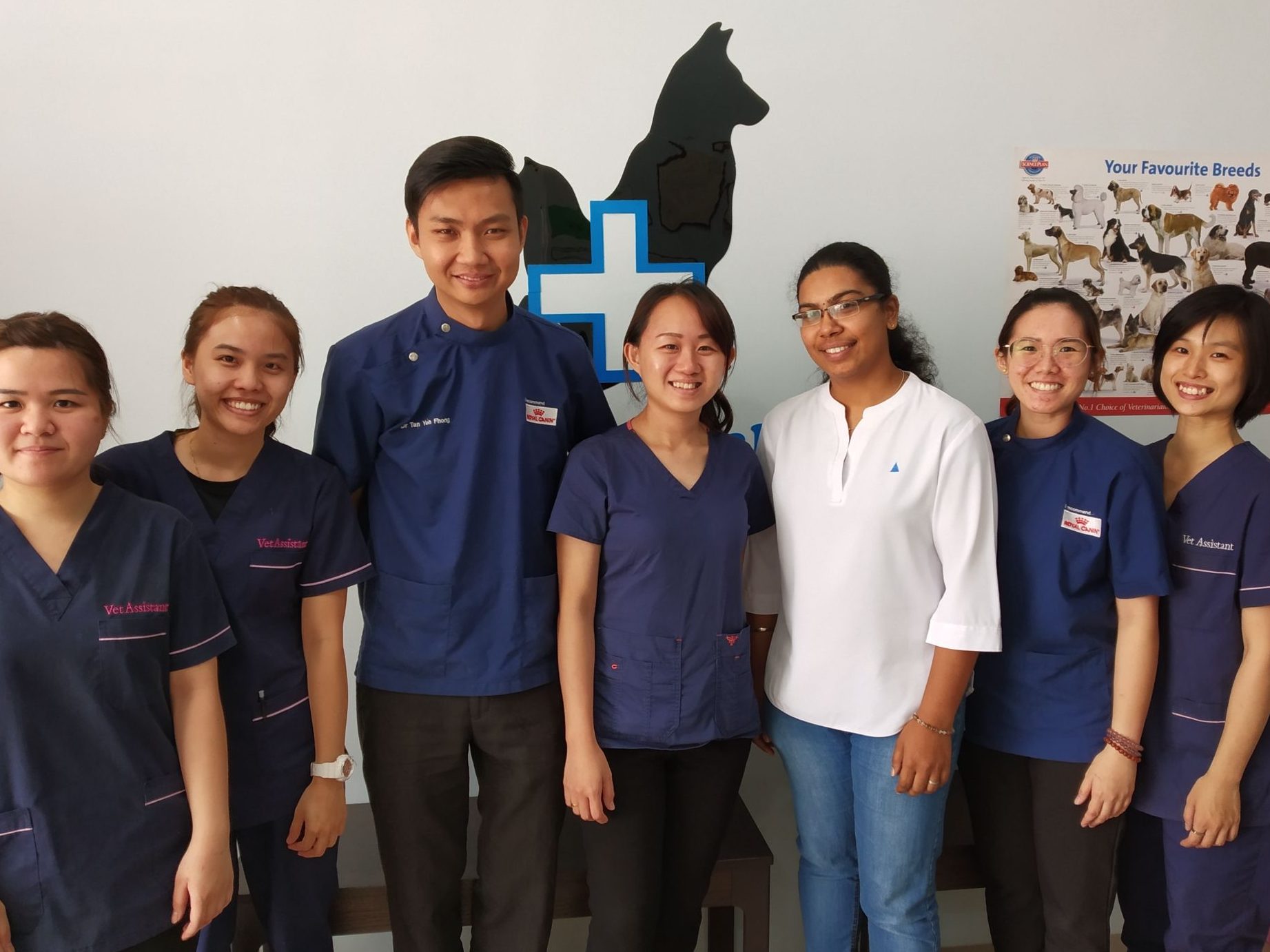 tan animal clinic surgery muar