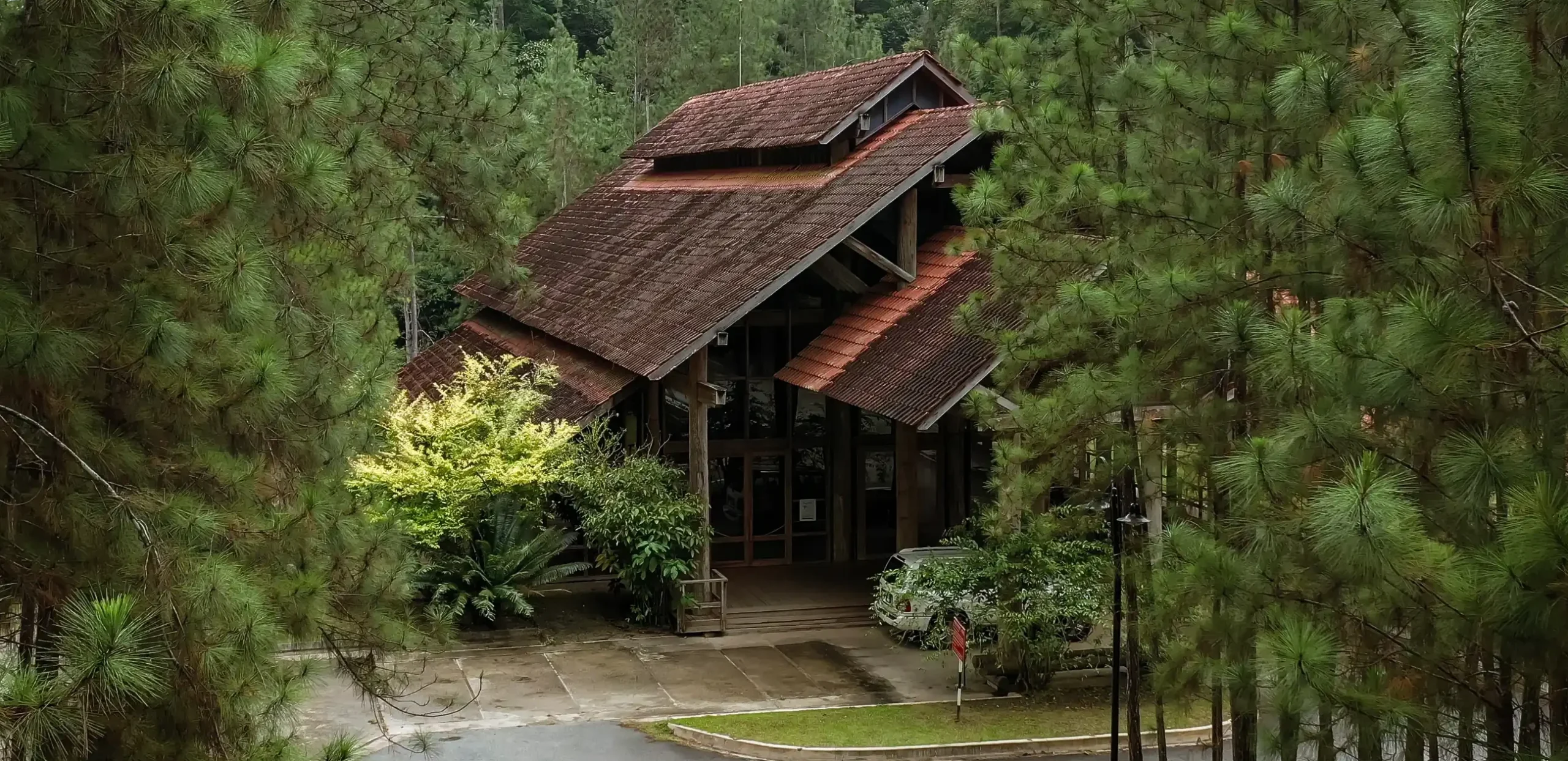 tanarimba janda baik scaled