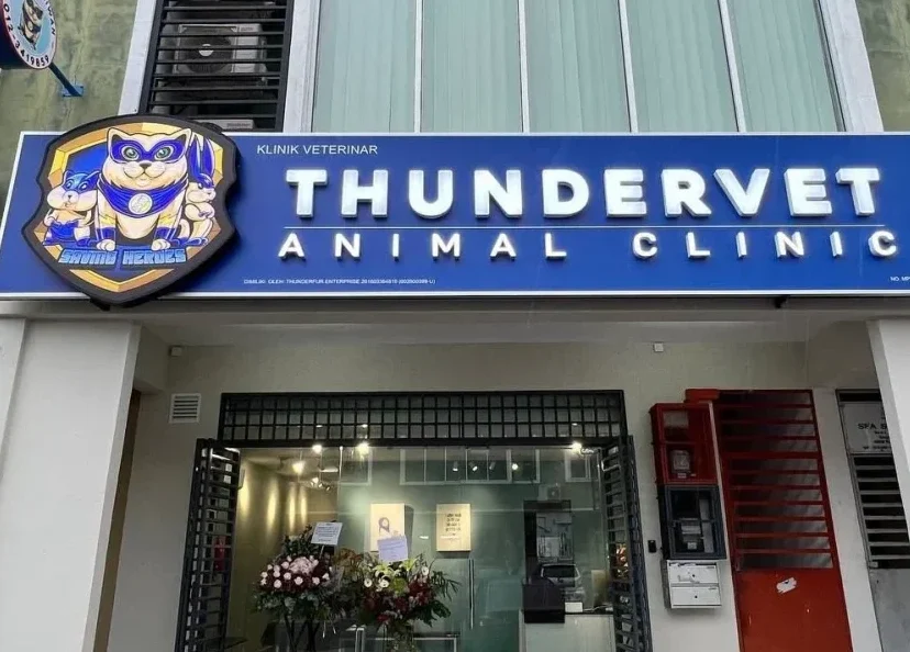 thundervet animal clinic