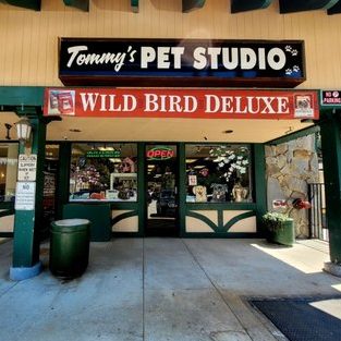tommy pet shop
