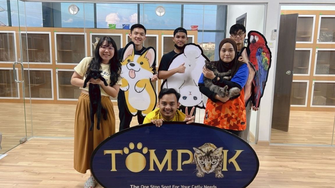 tompok cat house